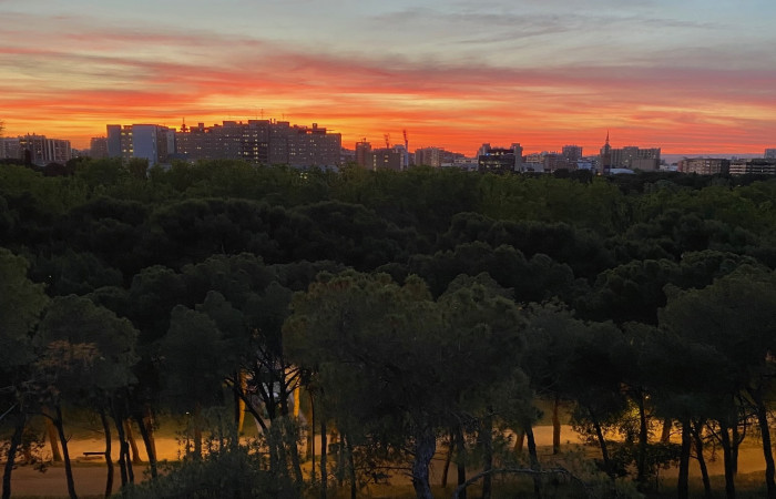 Pícnic en el Parque Grande